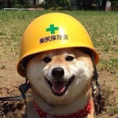 Visiting you every 5 days to give you friendly advice.
Mention @safety_doggo with « not safe » to be instantly safe.