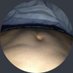Sexpest (@sexpest1010) Twitter profile photo Sexpest (@sexpest1010) Twitter profile photo