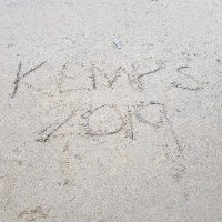 Kate Kemp (@katekem22639837) 's Twitter Profile