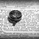 Ellen Belle Photos - @EllenBellePhoto - Twitter