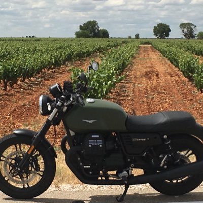 DalmauPaco's profile picture. Un amante de la vida, con lo bueno lo malo y lo feo. Mis twits son simplemente míos