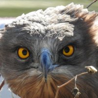 Tirando pal monte (@monte_pal) 's Twitter Profile