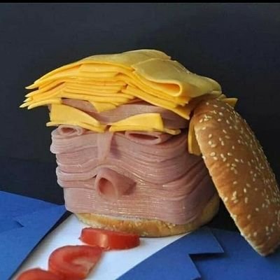 TrumpsHamberduh Profile Picture
