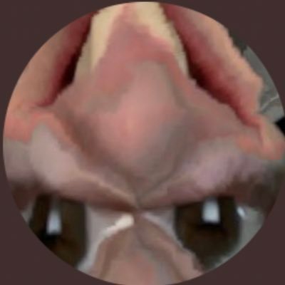 lemonlamp1's profile picture. Twitter is trying to stop me from following everyone little do they know it’s the most efficient way to get followers