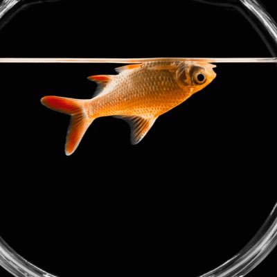 Rock Bottom Records Profile