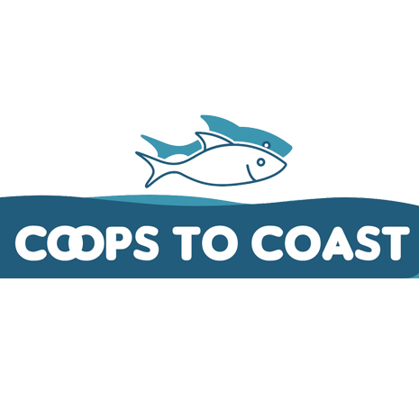 coopstocoast's profile picture. Bu hesap Avrupa Birliği'nin maddi desteği ile oluşturulmuştur ve sürdürülmektedir. İçerik tamamıyla KABİTEK DERNEĞİ ve HALIEUS sorumluluğu altındadır.