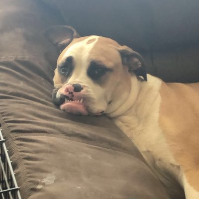 TTsoukalas's profile picture. 