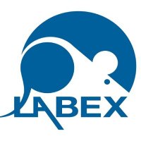 LABEX(@LabexCim) 's Twitter Profile Photo