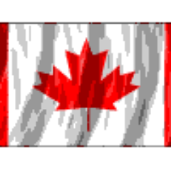 grandkatz's profile picture. 