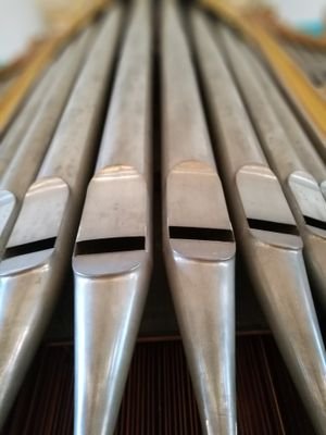 JohannesZink1's profile picture. Pinguindompteur bei Tag, Schreiner und Musiker bei Nacht