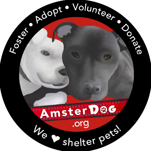 Saving at-risk shelter pets in NYC: help us save more lives! 💖 🐶ADOPT | FOSTER | VOLUNTEER | DONATE: https://t.co/u0zRk9Mwc2 💌 info@amsterdog.org 💌