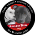 AmsterDog Rescue (@AmsterDogRescue) Twitter profile photo