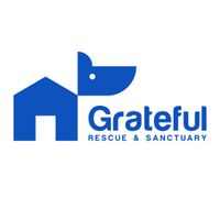 Grateful Rescue & Sanctuary (@gratefulrescue) 's Twitter Profile