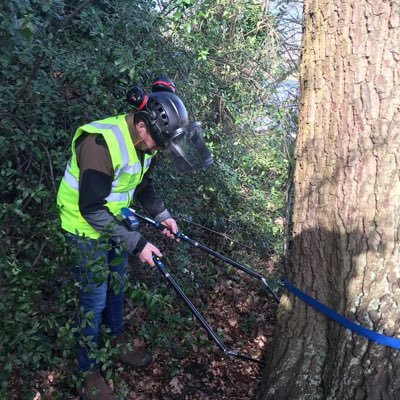 Arboricultural consultants providing expert advice on all things trees. PiCUS 3 Sonic Tomography. Tree surveys. BS5837 reports & plans