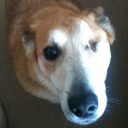 Adrienne lowry - @One_eyed_dave - Twitter