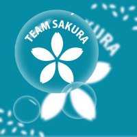 TEAM SAKURA (@teamsakura55) 's Twitter Profile Photo