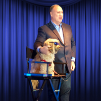 Alec Stern (@alecstern) 's Twitter Profile