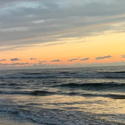 009BBA's profile picture. 日記...🐢🌛🌿🦅