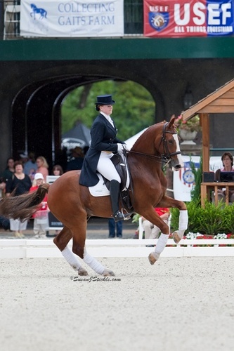 laurensprieser's profile picture. I teach horses to dance, I write stuff, and I cook tasty things. What I don’t do is tweet, so find me on Facebook and Instagram.