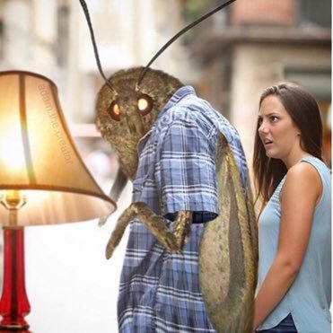 lamps