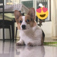0 (@555_dbo) 's Twitter Profile