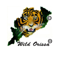 Wild Orissa(@OrissaWild) 's Twitter Profileg