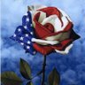 TurnKansasBlue's profile picture. 🌷Wife, mom, grandma & retired. 
#VoteBlueIn2024 #HarrisWalz2024 
#StandWithUkraine 🇺🇦
🚫DM’s
🚫 LISTS
