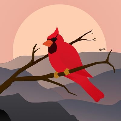 suki0870's profile picture. Student, Weather enthusiast