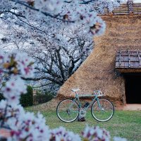 onimasa (@onimasa1111) 's Twitter Profile