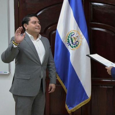 Presidente de la Loteria Nacional de Beneficencia de El Salvador.
Secretario Gral. Adjunto del Partido Cambio Democrático.
Ing. Industrial.
Gestor en innovación