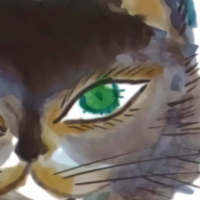 numa7779's profile picture. ささいなことに傷ついて ささいなことに大喜び