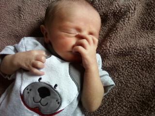 mckenzie199804's profile picture. i'm hot