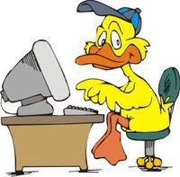 Web design, Internet marketing, administrare site/uri web si servere.