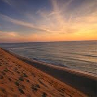 I am a massage therapist who is well trained in massage and Corporate Massage. If you are interested please email me for more information at: coreycmt@gmail.com