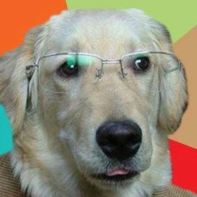 ThomasGohier's profile picture. The Office addict