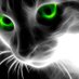 Denizbatı (@denizbat6) Twitter profile photo Denizbatı (@denizbat6) Twitter profile photo