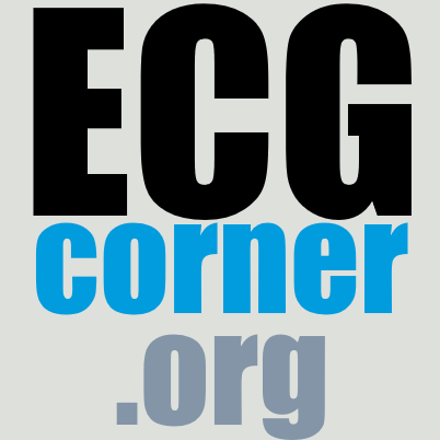 ECGcorner Profile