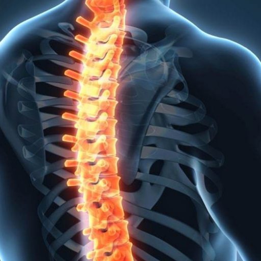 SCRMeeting's profile picture. Spinal Cord Repair Meeting is a conference dedicated to advances in translational research in Spinal Cord Injuries. it gathers top scientists in the field.