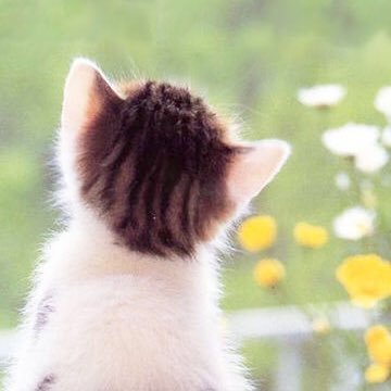 読書始めてから投資に遅咲き開花|節約と断捨離が趣味|ミニマリスト|30代後半ですが頑張る| 家計見直し|今ある貯金を全力で投資に回す|FP3級簿記3級勉強開始→ちょっと中断|無言フォロー失礼します。 #読書垢 #インデックス投資 #つみたてNISA #投資初心者
