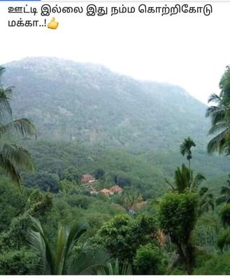 saravanansal's profile picture. 