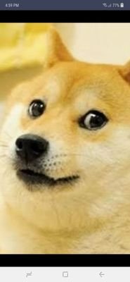 Tawny_4's profile picture. 