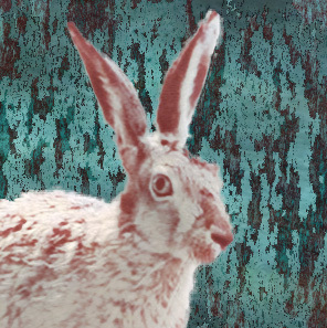 RoughRabbit's profile picture. When I've worked out what to say, I'll say. Otherwise re-tweeting what strikes a chord, liking to remember....