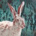 Hmmm... (@roughrabbit) Twitter profile photo Hmmm... (@roughrabbit) Twitter profile photo