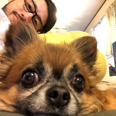 updoor's profile picture. ﾌﾟﾛｸﾞﾗﾏﾃﾞｽ｡ﾄﾞｿﾞﾖﾛｼｸ｡