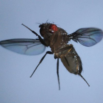 Journalist.#cryptoinvestor #Airdrophunter. #Airdrops are free & worth trying.Never can tell which will be huge.
Join telegram https://t.co/pb5Ed8feF7
