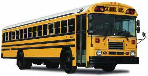 The greatest thing about driving a school bus is the quotes. Here is where you can find what I hear on a daily basis. These are quotes from K-12 grade! Enjoy!