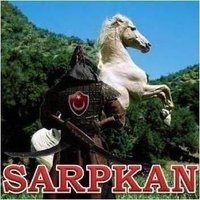 SARPKAN(@s_hisar) 's Twitter Profile Photo