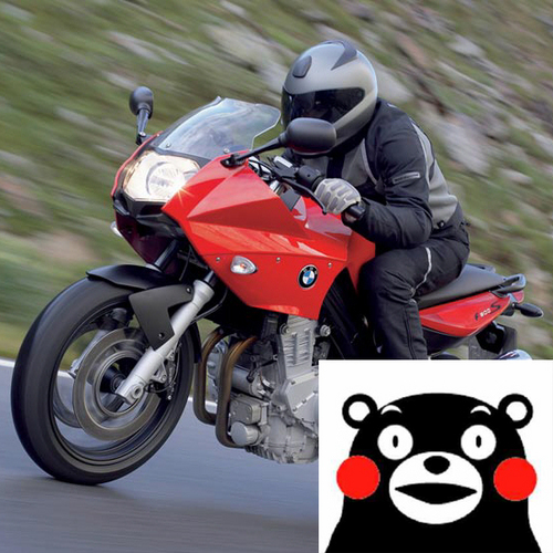 farfallone's profile picture. 熊本市内で開業している歯科医師です。審美歯科治療（審美歯科、矯正、インプラント等）を専門的に行なっています。趣味はチェロを弾く事/バイク（BMW F800S）で阿蘇方面をツーリング/日々のランニング（市民マラソンに参加）/弓道（水前寺弓道場）です。