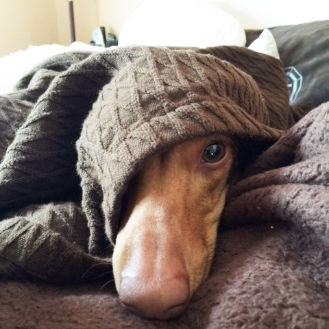 DebbyDrutz's profile picture. Livin la vida loca in sunny paradise Florida.