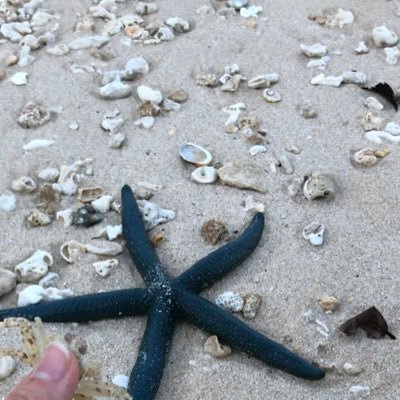 maimari0329's profile picture. 非公開の方はブロック致しますので悪しからず。